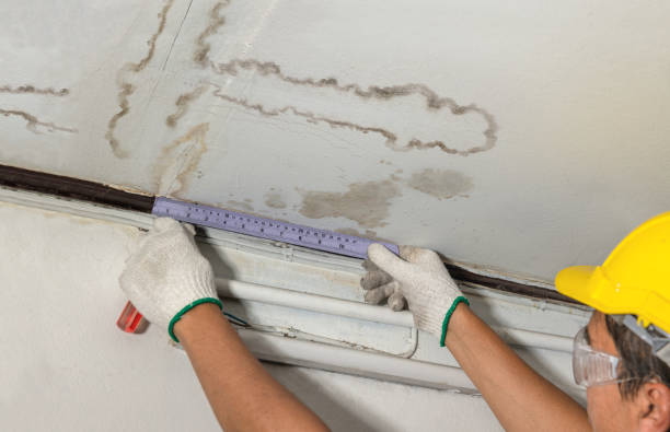 Reliable Mold Remediation contractor in Huntington, WV by Water Damage Irwin